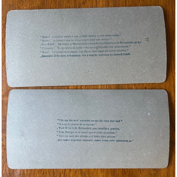 Stereocard 1897 Black Americana Farmer Humor Stereoview Card - Picture 5 of 5